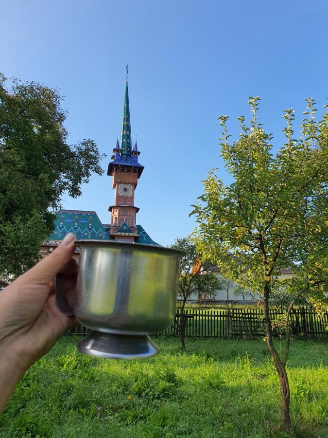 La Romaneasa Săpînţa المظهر الخارجي الصورة