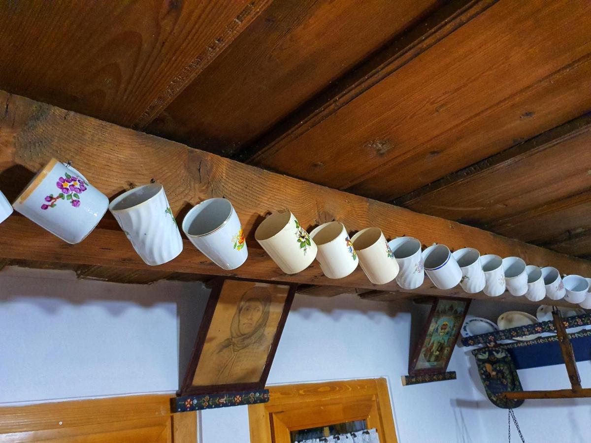 La Romaneasa Săpînţa المظهر الخارجي الصورة