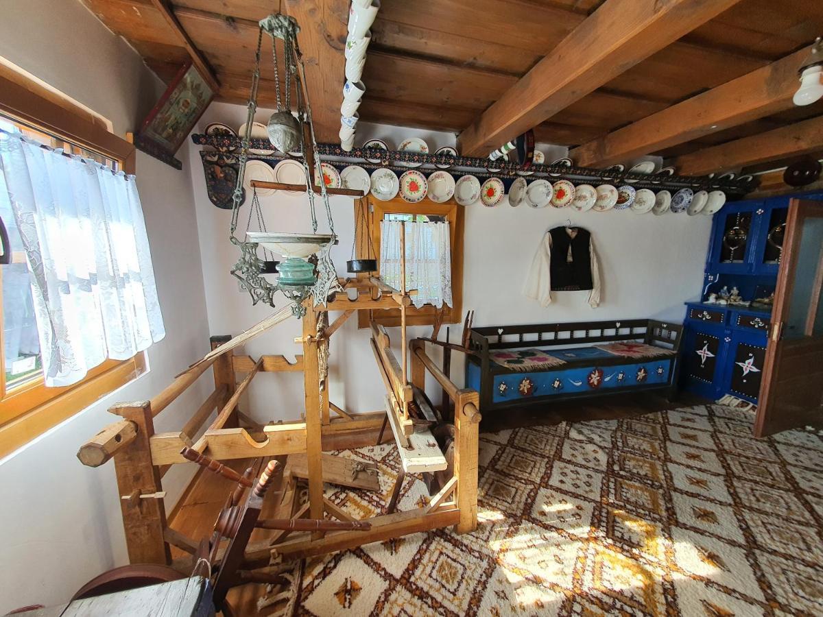 La Romaneasa Săpînţa المظهر الخارجي الصورة