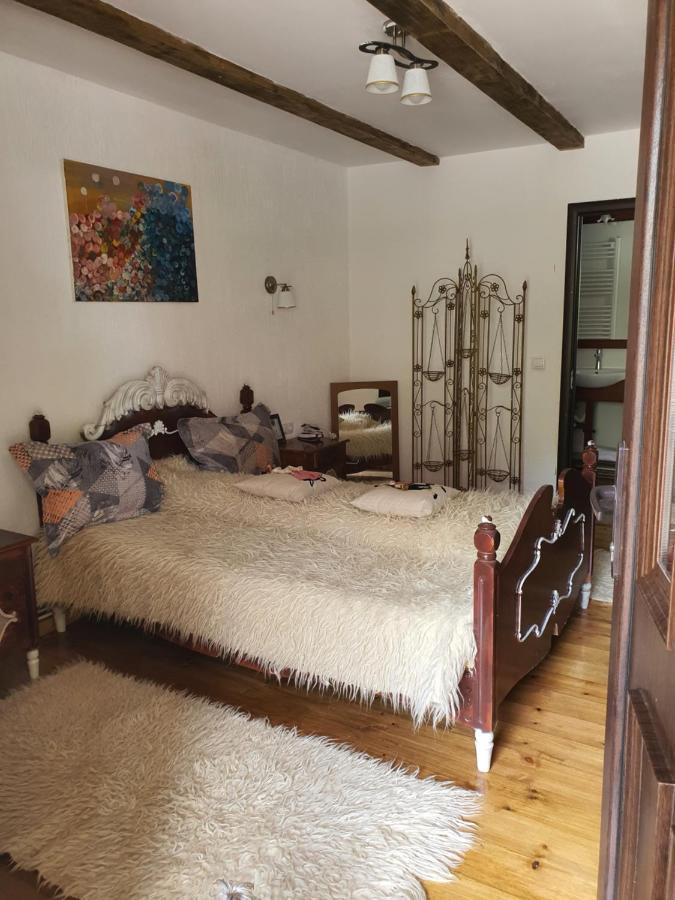La Romaneasa Săpînţa المظهر الخارجي الصورة