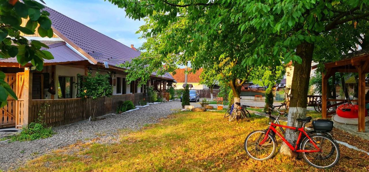 La Romaneasa Săpînţa المظهر الخارجي الصورة