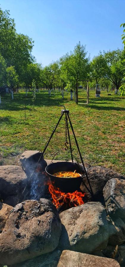 La Romaneasa Săpînţa المظهر الخارجي الصورة