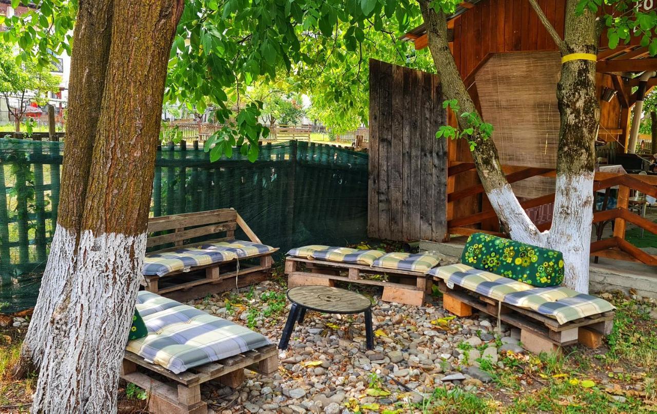 La Romaneasa Săpînţa المظهر الخارجي الصورة