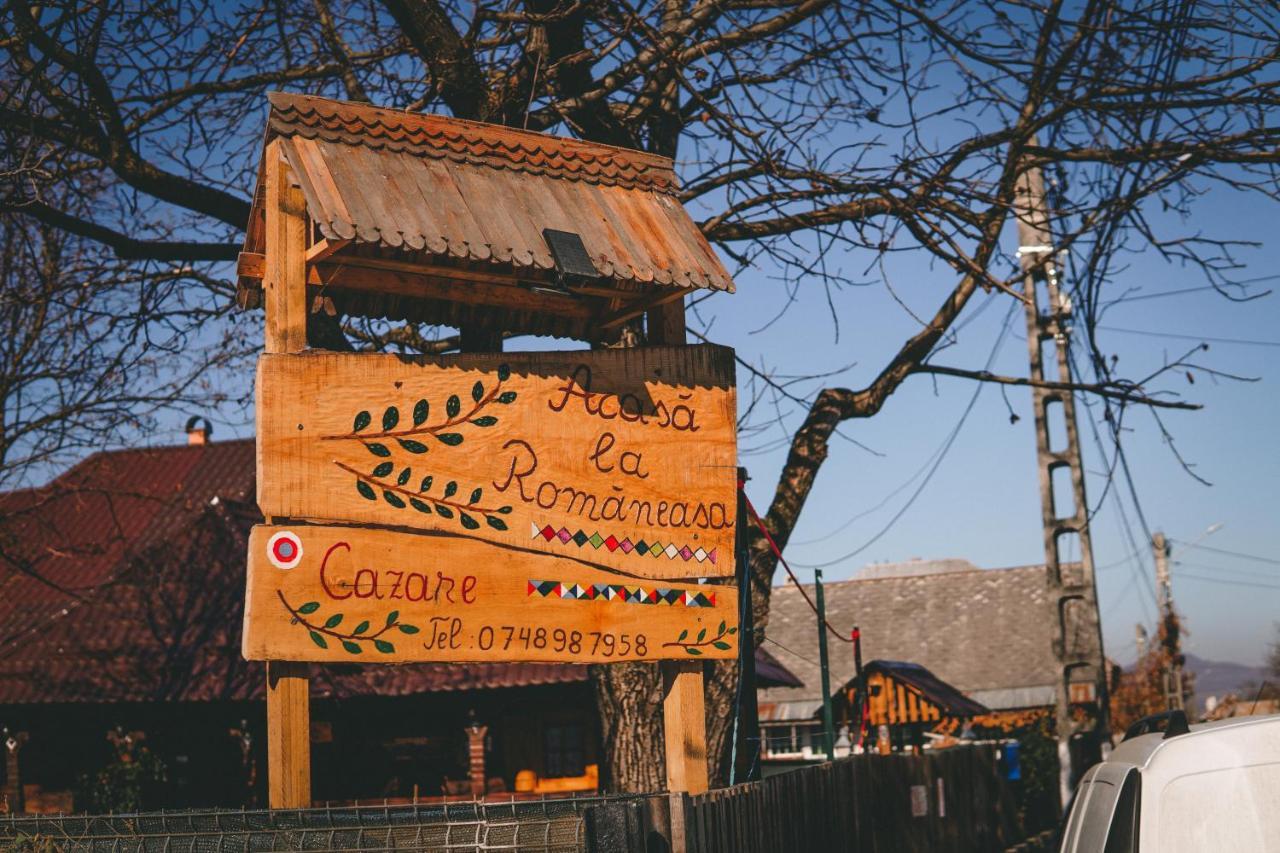 La Romaneasa Săpînţa المظهر الخارجي الصورة
